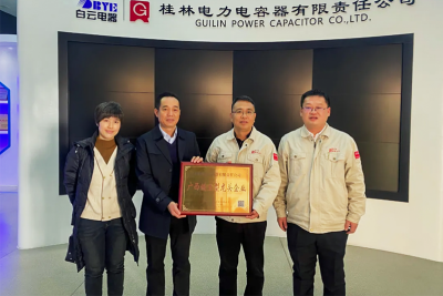 bsports公司喜获广西链主型龙头企业
