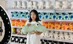 占全国市场份额超30%、全球市场近20%