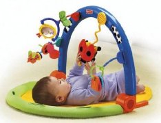 <b>宁夏春节宠物市场的火爆景象</b>