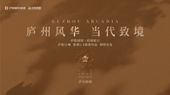 招商庐州致敬立足 “一核一城一中心” 城区发展