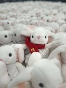 客服问询量增长460%